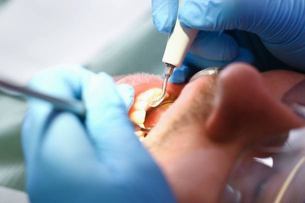 Best Urgent Dental Care in Saltillo, MS